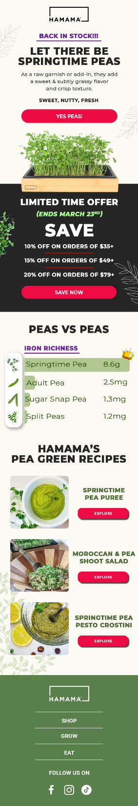 Hamama email template